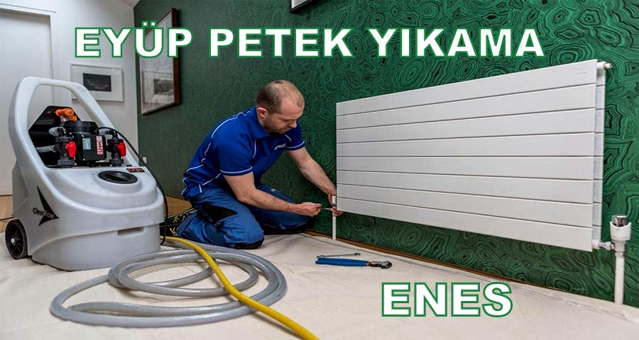 Eyüp Petek Temizliği